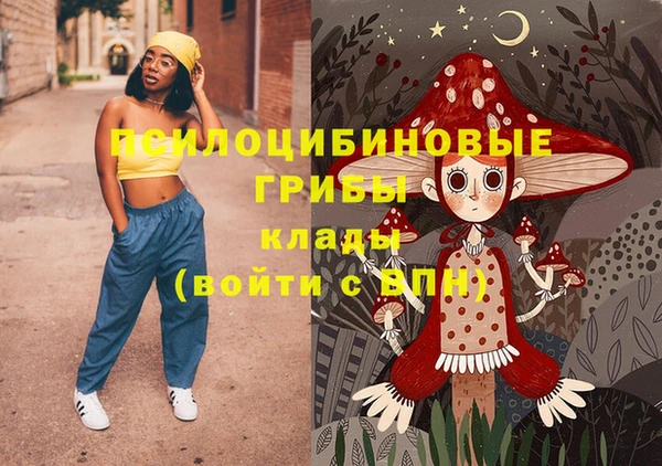стаф Абаза