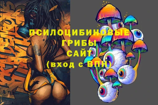 стаф Абаза