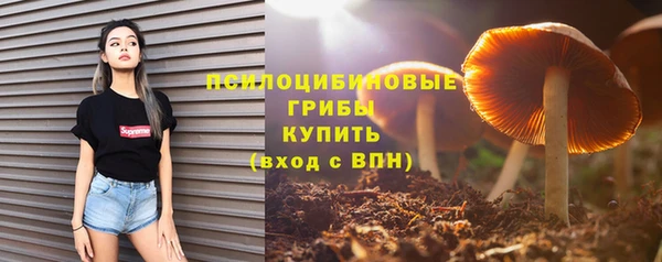 сатива Алзамай