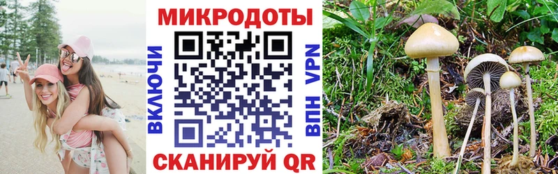 Галлюциногенные грибы мухоморы  KRAKEN сайт  Зеленокумск  купить закладку 